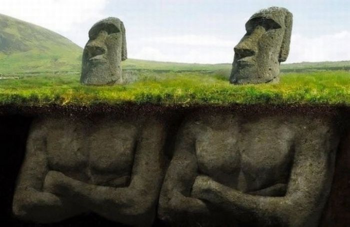 عکس روز